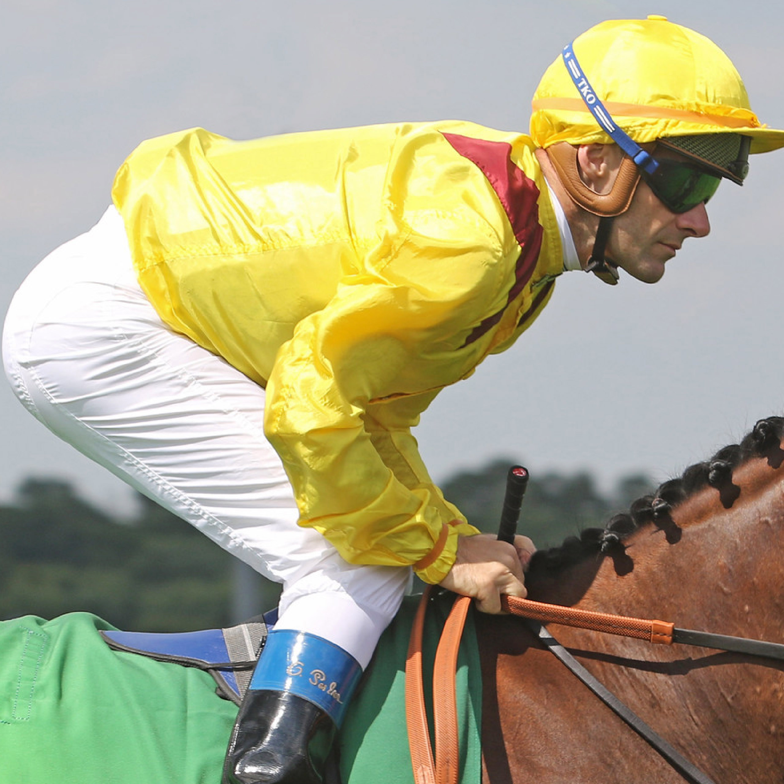 Horse cheap racing goggles